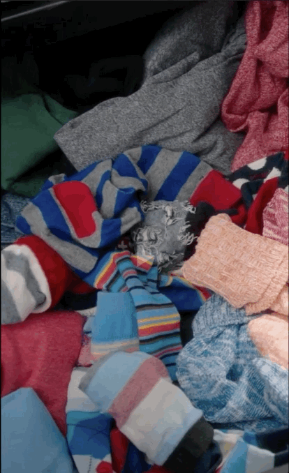 Nov-11-2021_09-39-02good.gif